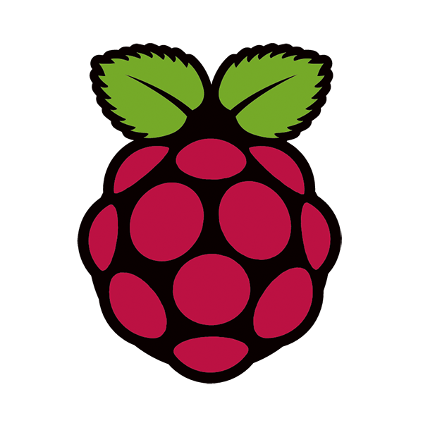 Raspberry Pi Device Logo